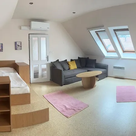 Apartmany U Stareho Labe Nymburk Exterior photo
