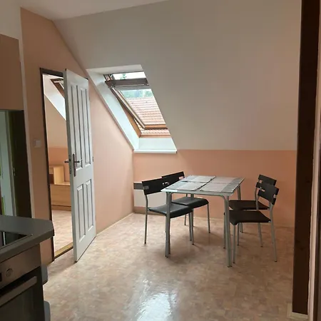 Apartmany U Stareho Labe Nymburk Exterior photo