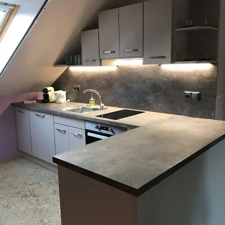 Apartmany U Stareho Labe Nymburk Exterior photo