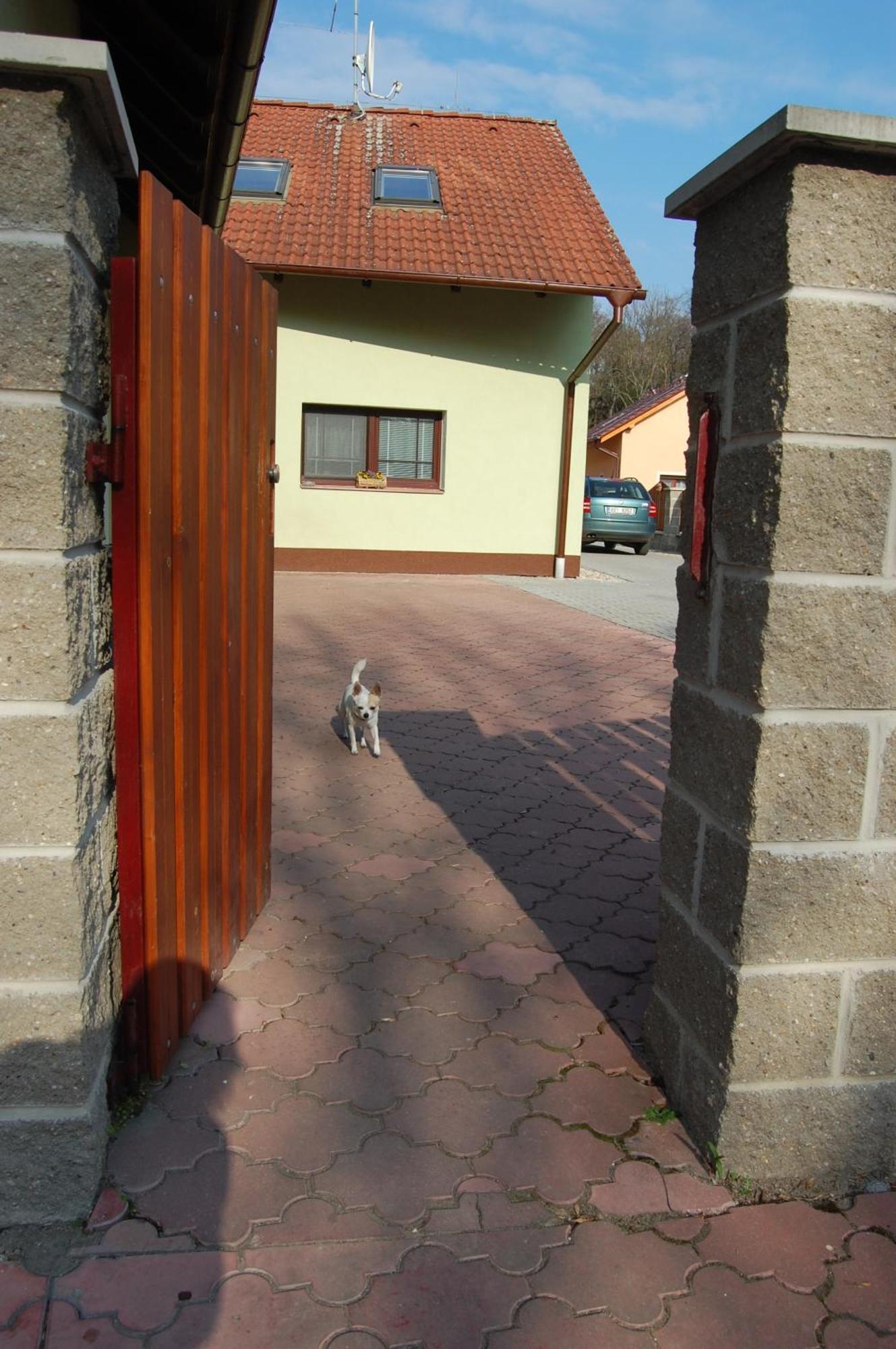 Apartment U Stareho Labe