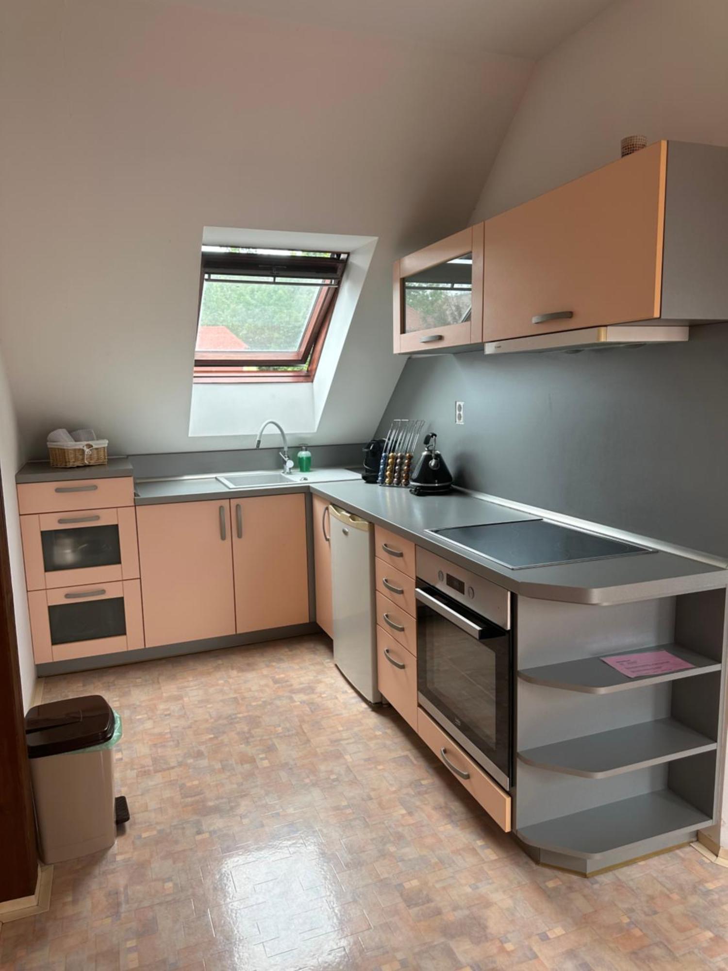 U Stareho Labe Apartment Nymburk