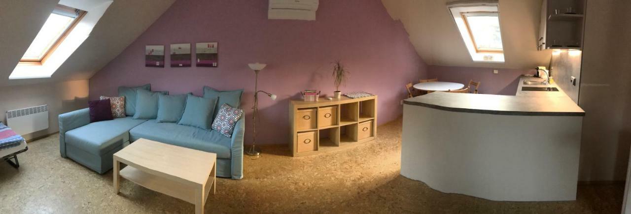 U Stareho Labe Apartment *